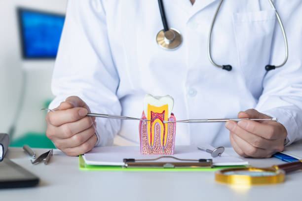 Best Walk-In Emergency Dental Services in Manton, MI